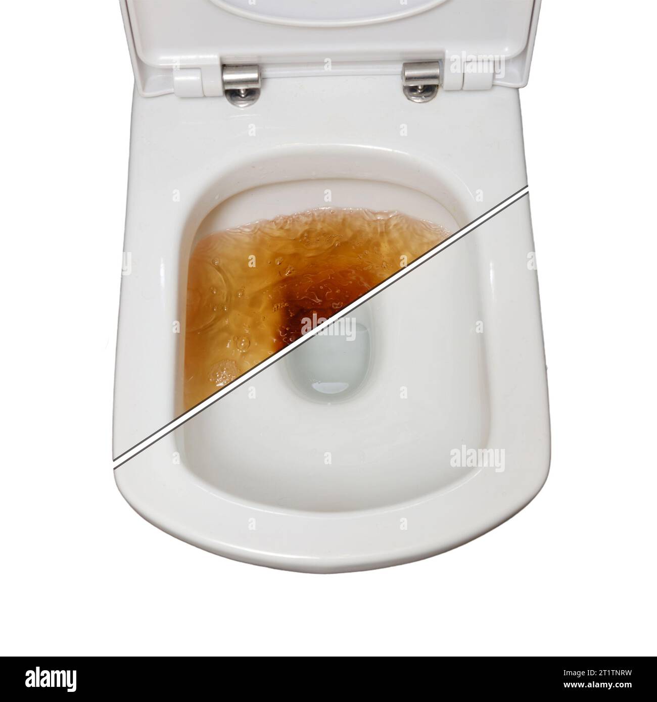 The clogged drain caused a dirty toilet, but after cleaning, it's now