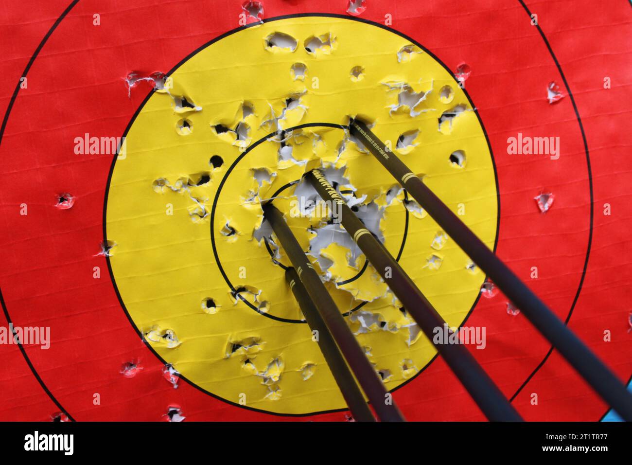 arrows in the center of the target Stock Photo - Alamy