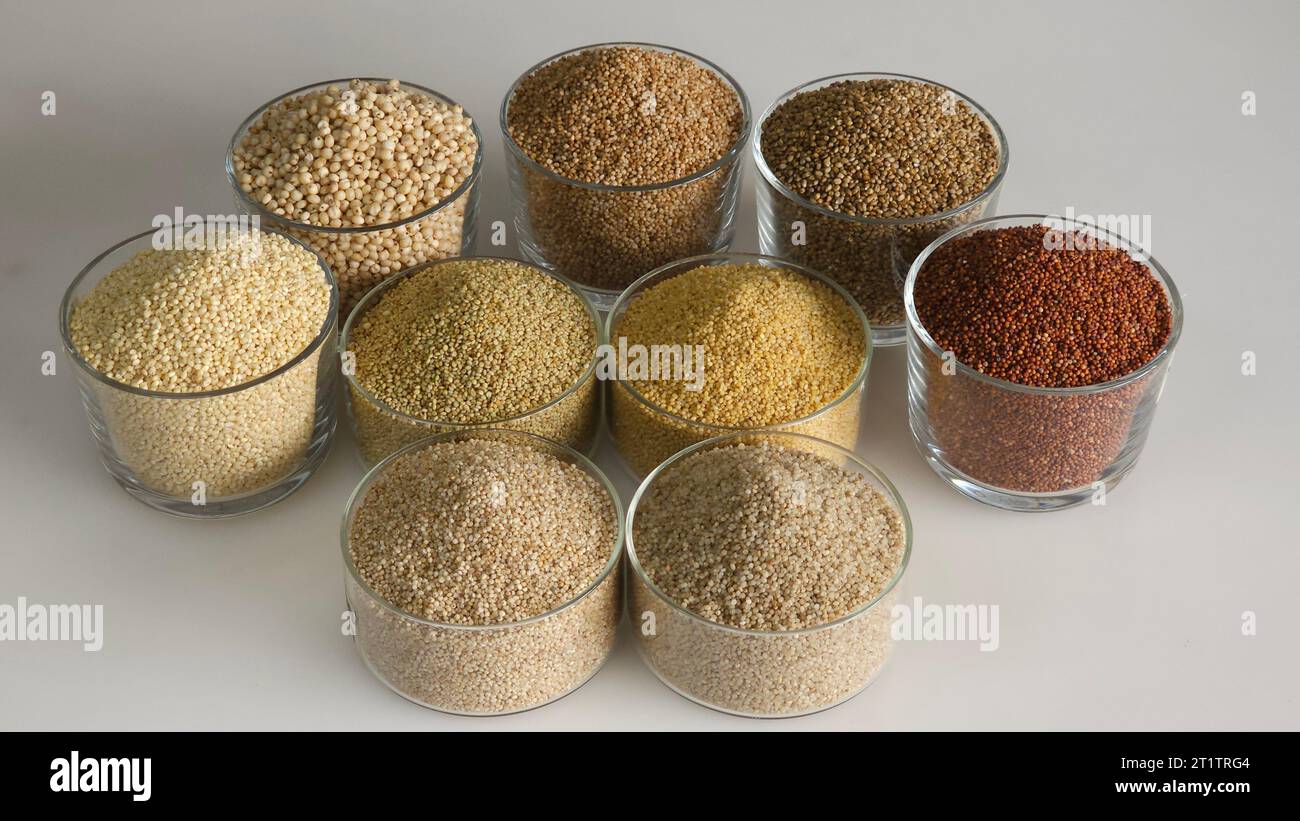 Single image showing all the nine millets. Millets in bowls filled to