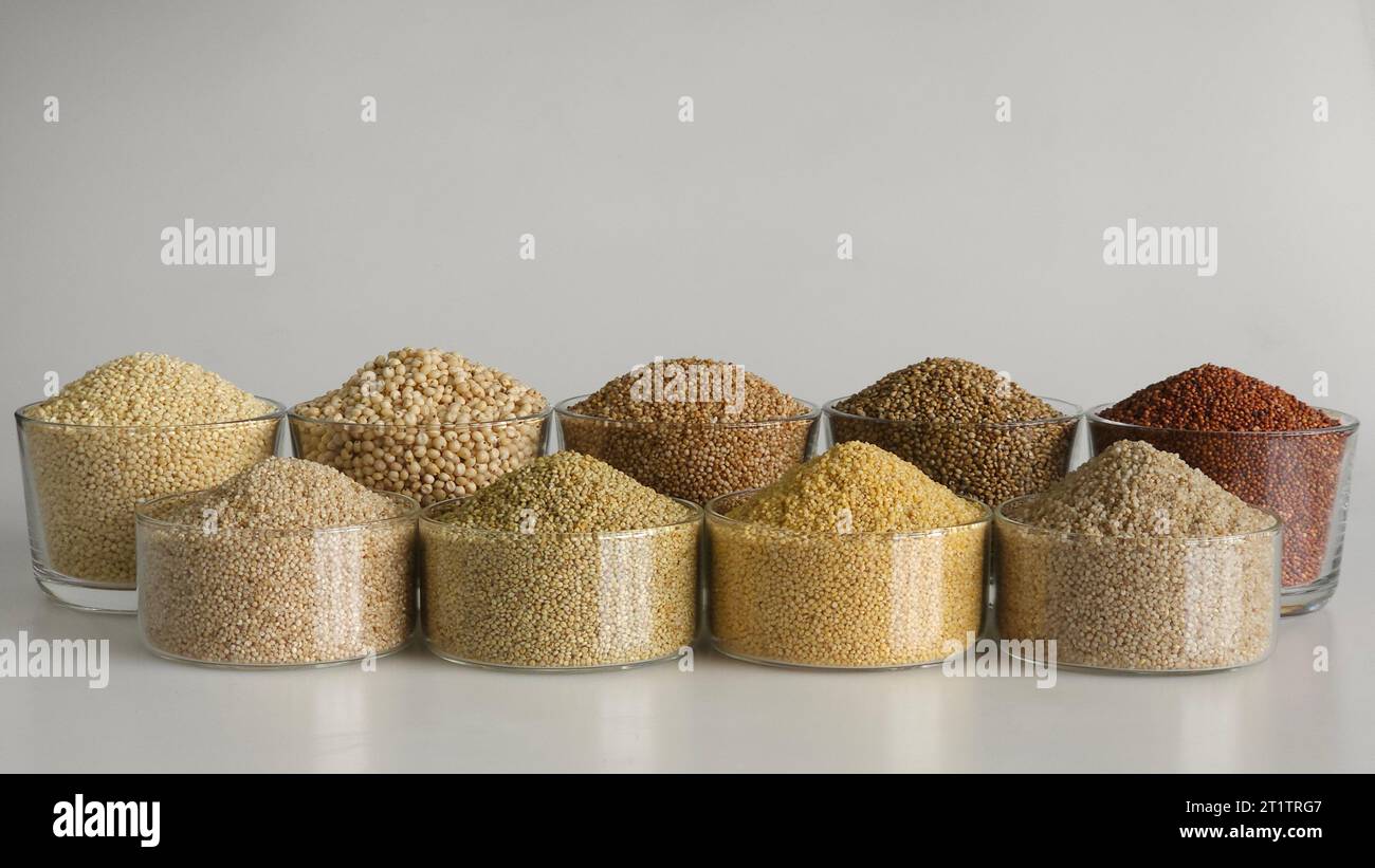 A single image showing all the nine millets. Millets filled in bowls to