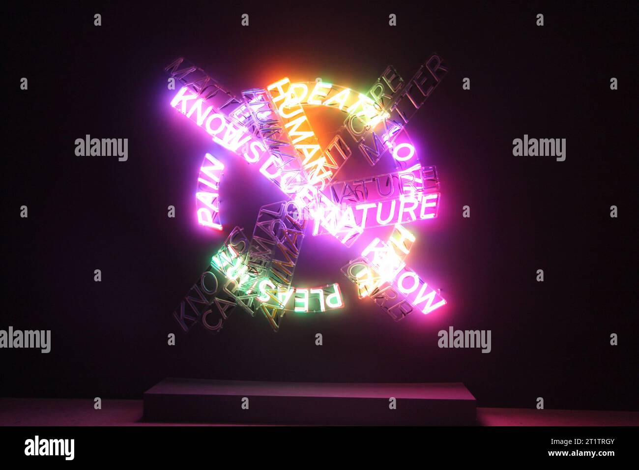 Art. light installation. words Stock Photo - Alamy