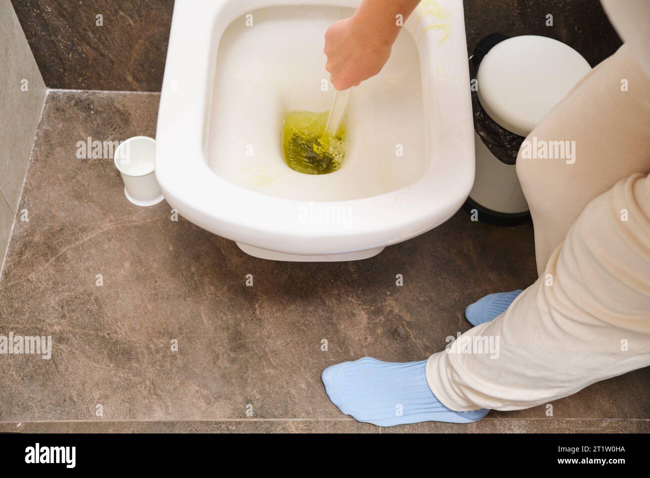 https://c8.alamy.com/comp/2T1W0HA/top-view-of-woman-cleaning-toilet-bowl-with-brush-in-bathroom-at-home-2T1W0HA.jpg