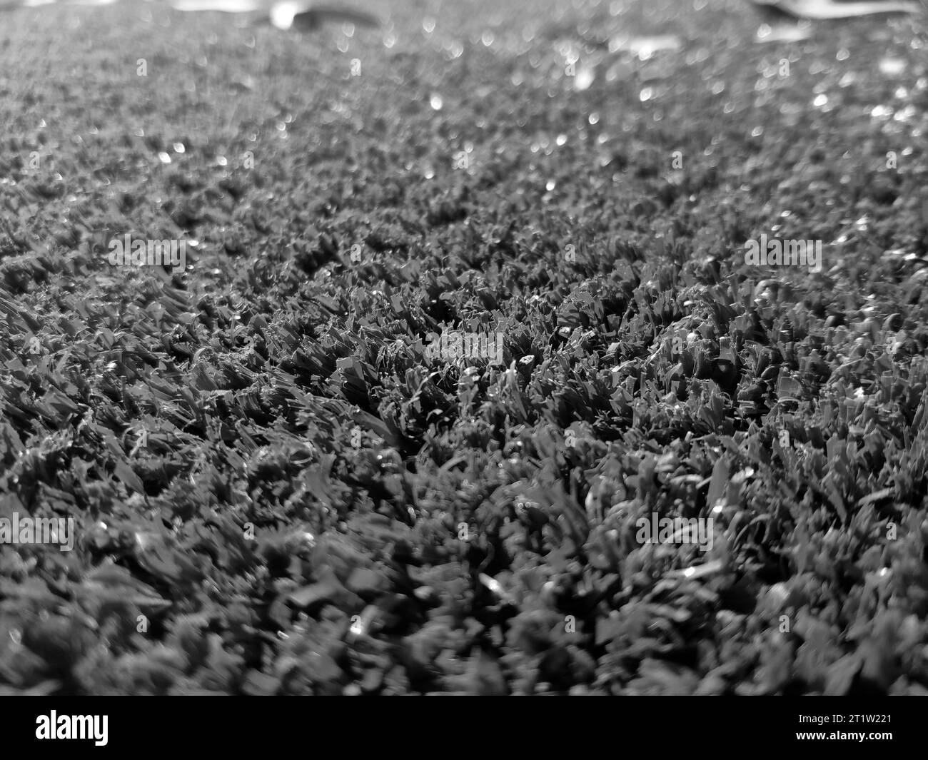 Black and white grass background close view, grayscale grass photo Stock Photo