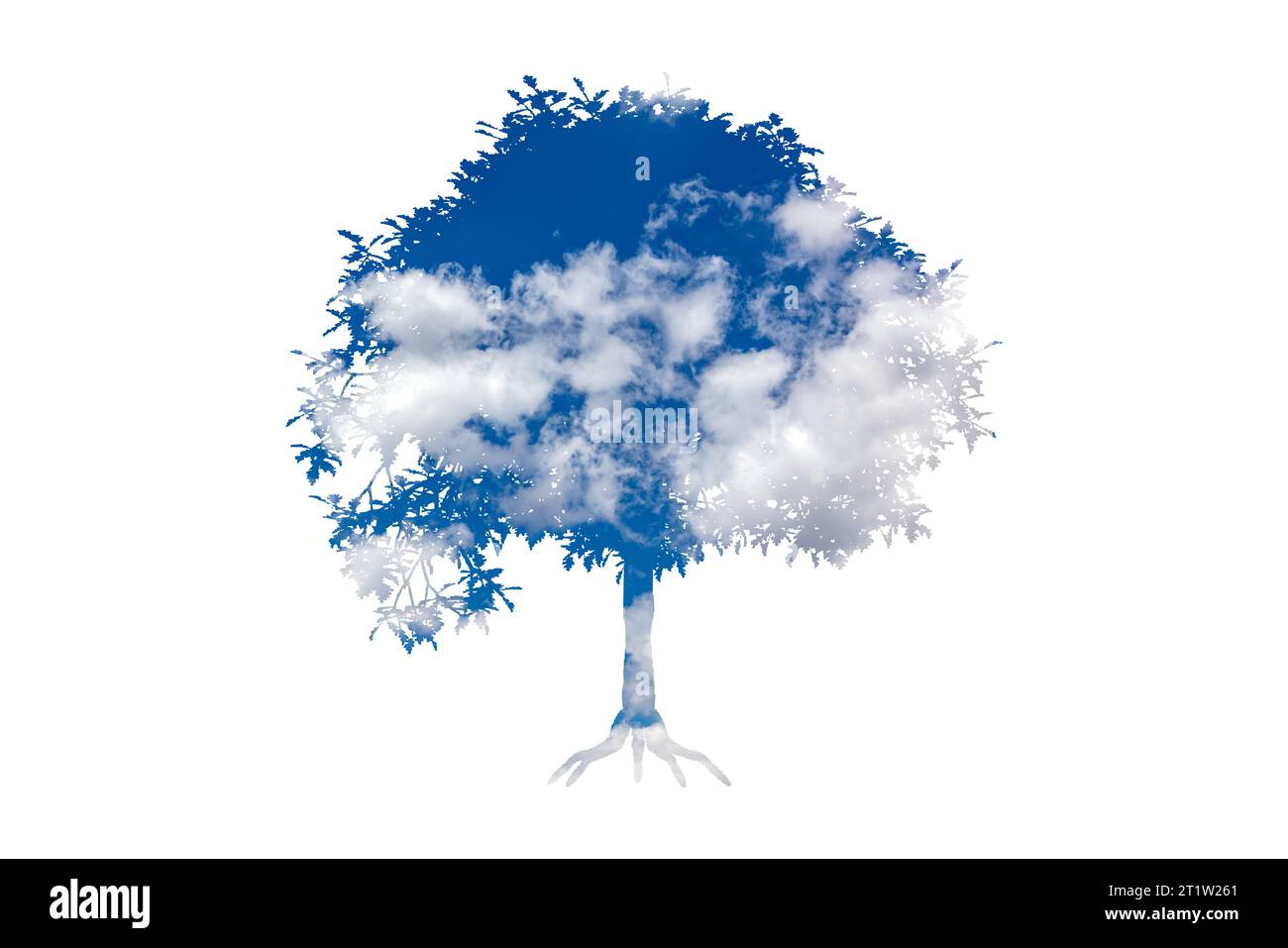 Tree icon concept of a stylized tree with leaves, lends itself to being used with text. Stock Photo