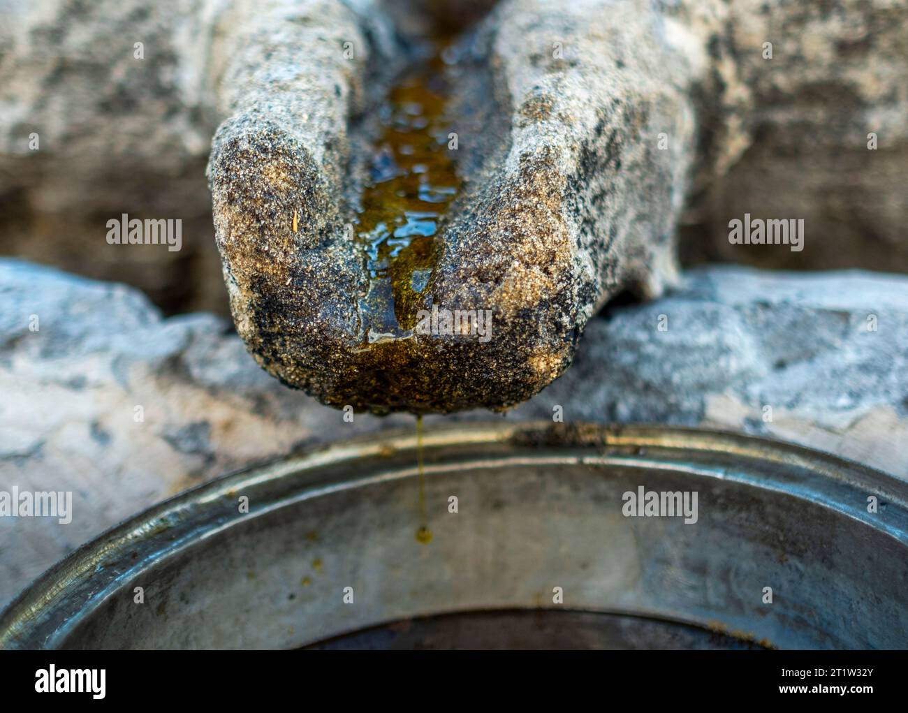 Olive oil press in oil hi-res stock photography and images - Alamy