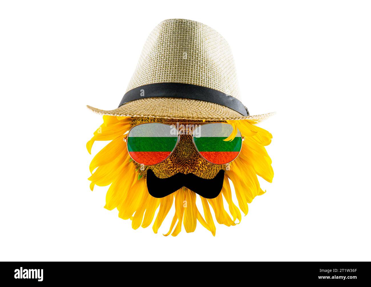 Sunflower with a hat, mustache and glasses in form of the Bulgaria flag