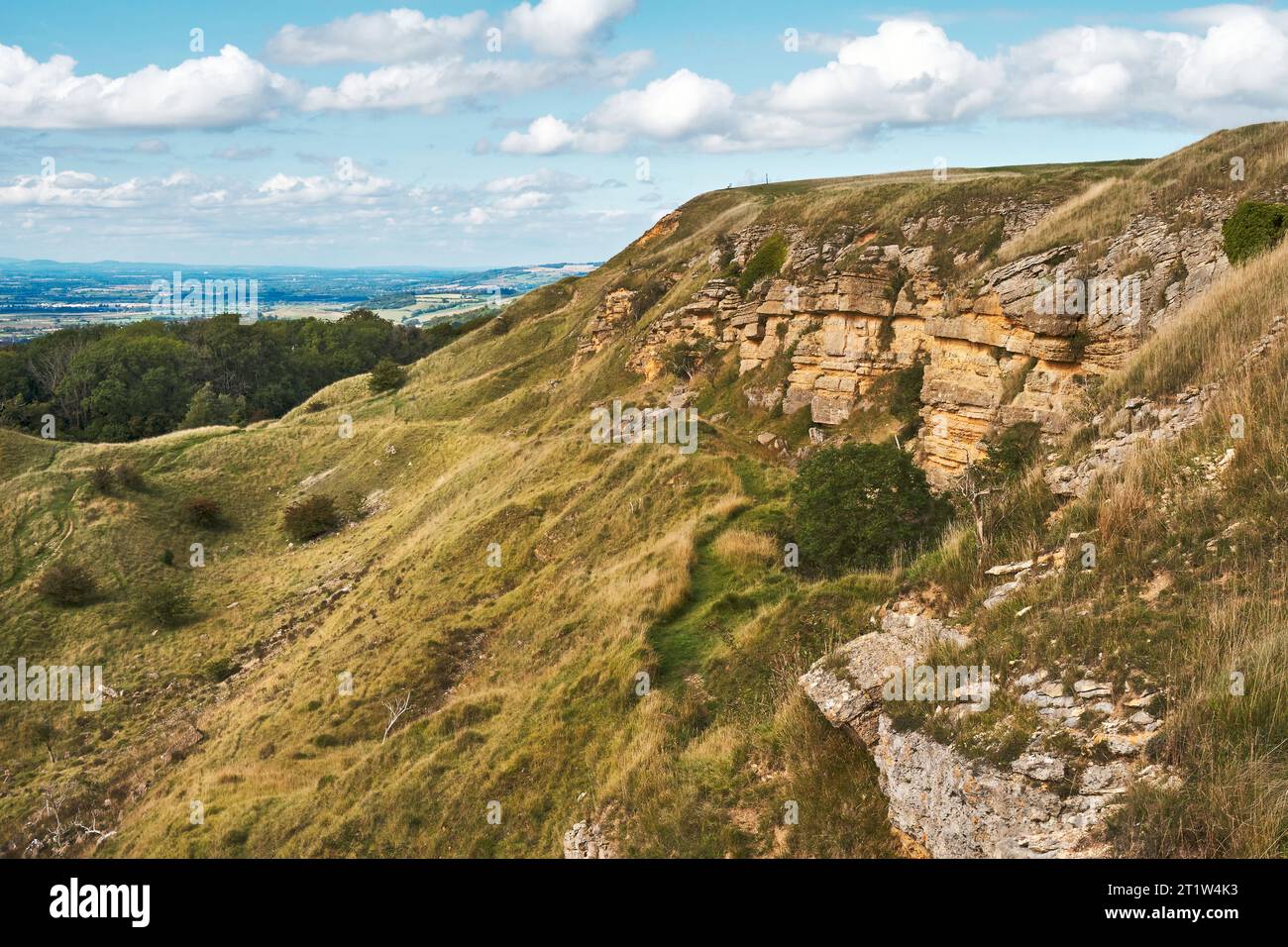 Cliff face of Oolitic limestone exposure at Cleeve Hill. The limestone forms the base of a ridge