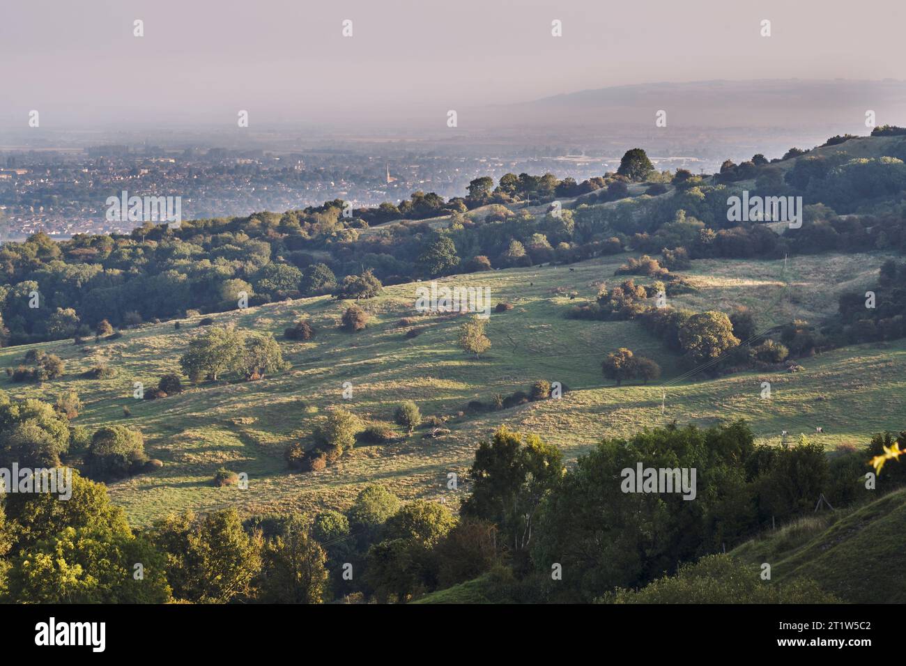 View of trees, fields and scrub looking towards Cheltenham on a misty morning Stock Photo