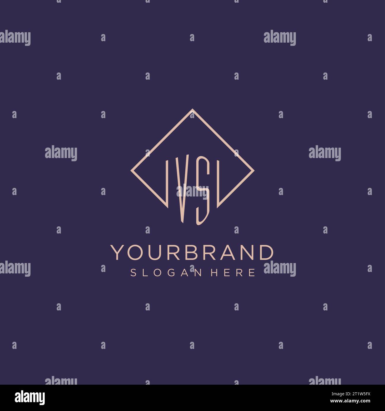 Initials VS logo monogram with rectangle style design vector graphic Stock Vector