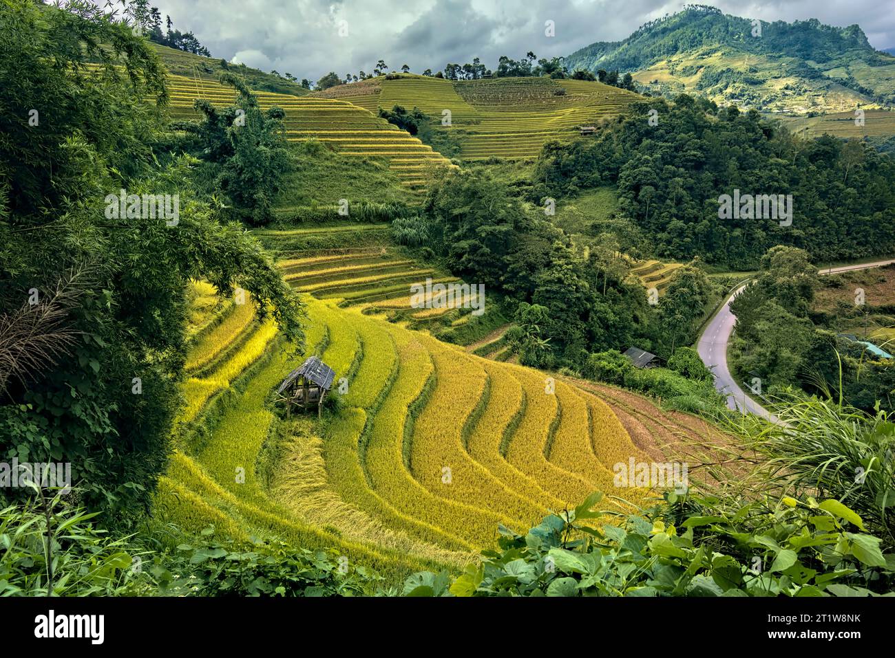 The amazing rice terraces of Mu Cang Chai, Yen Bai, Vietnam Stock Photo ...
