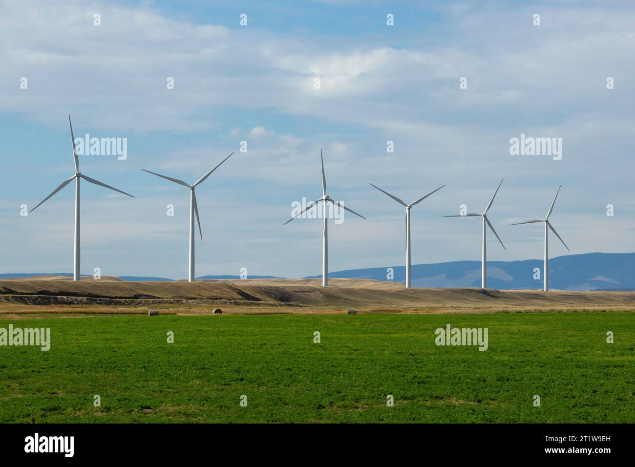 The 9.72 megawatt (MW) Twodot or Two Dot Montana wind farm and GE turbines in west-central Wheatland County, Montana.  The manufacturer of the six the Stock Photo