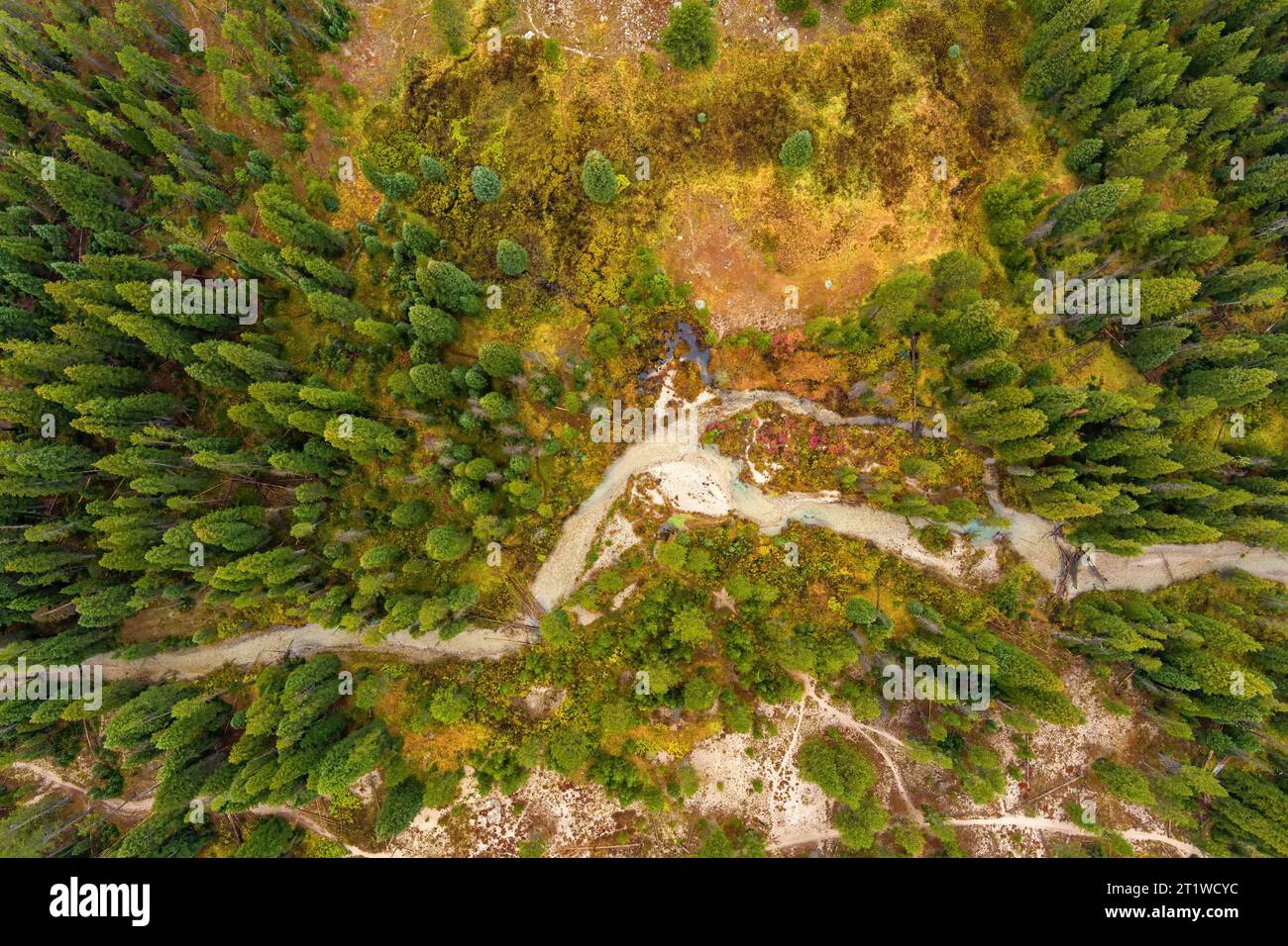 Stream winds through a greed forest as seen from above Stock Photo