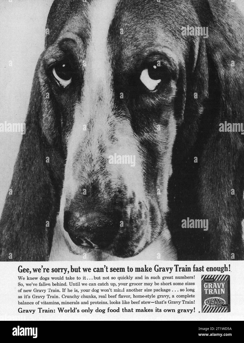 1960 Gravy Train Dog Food Ad Stock Photo