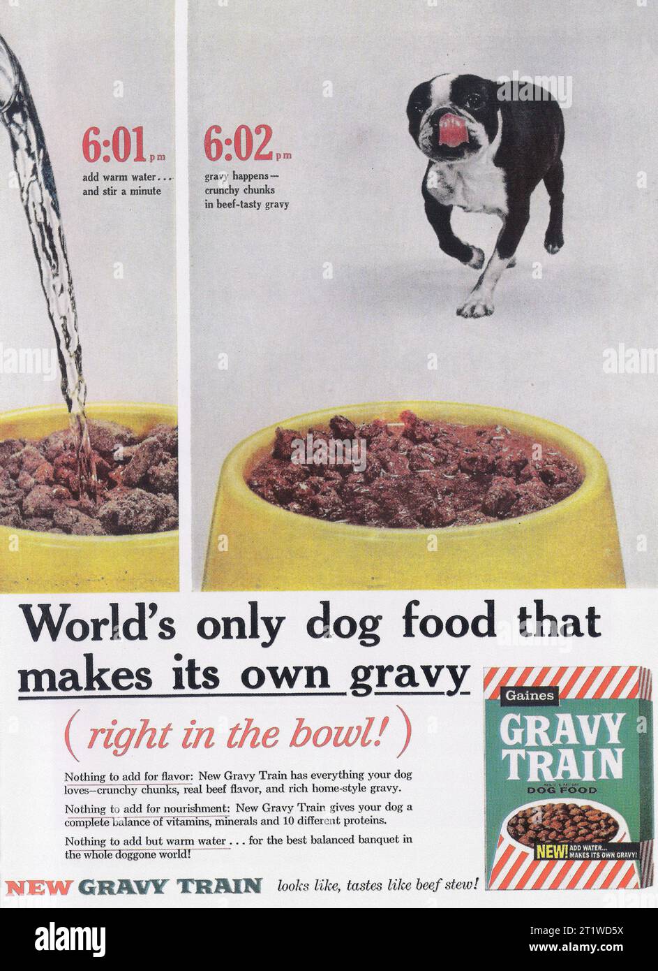 1960 Gravy Train Dog Food Ad Stock Photo