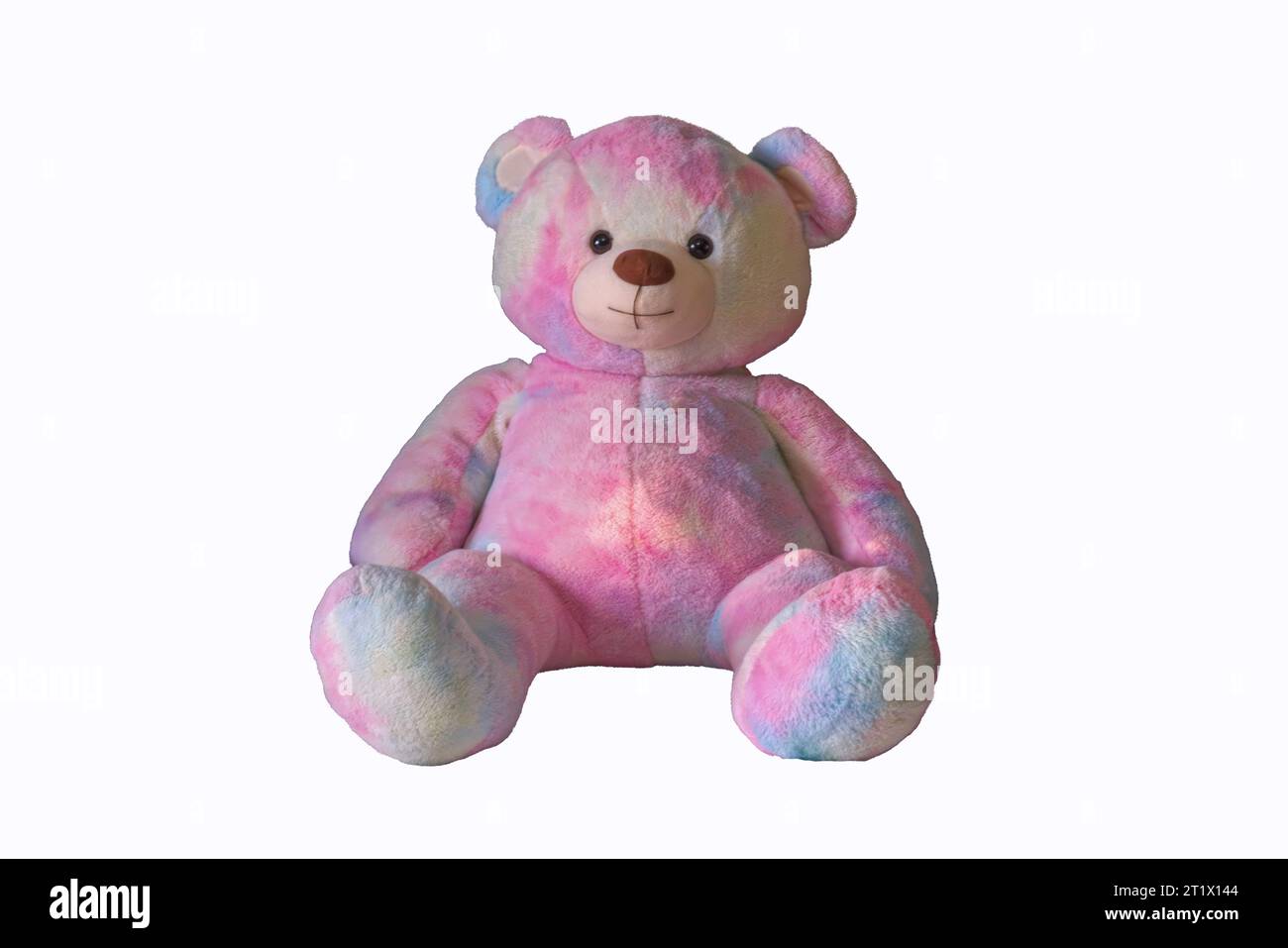 Pink teddy bear toy isolate on white background. Close-up. Stock Photo