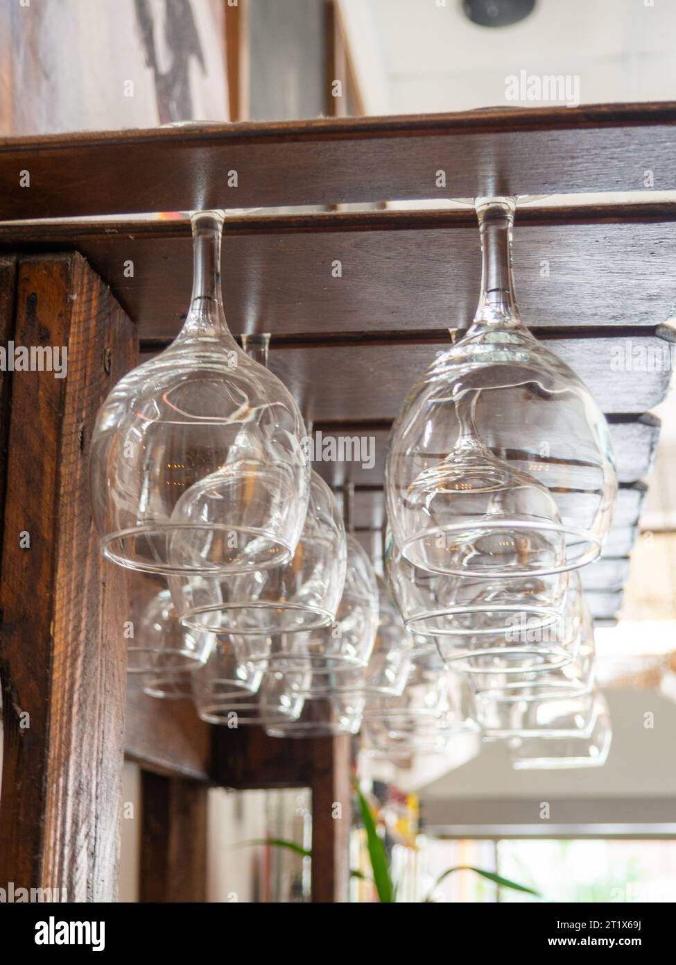 Glasses hang over the bar counter. The glasses are turned upside down ...