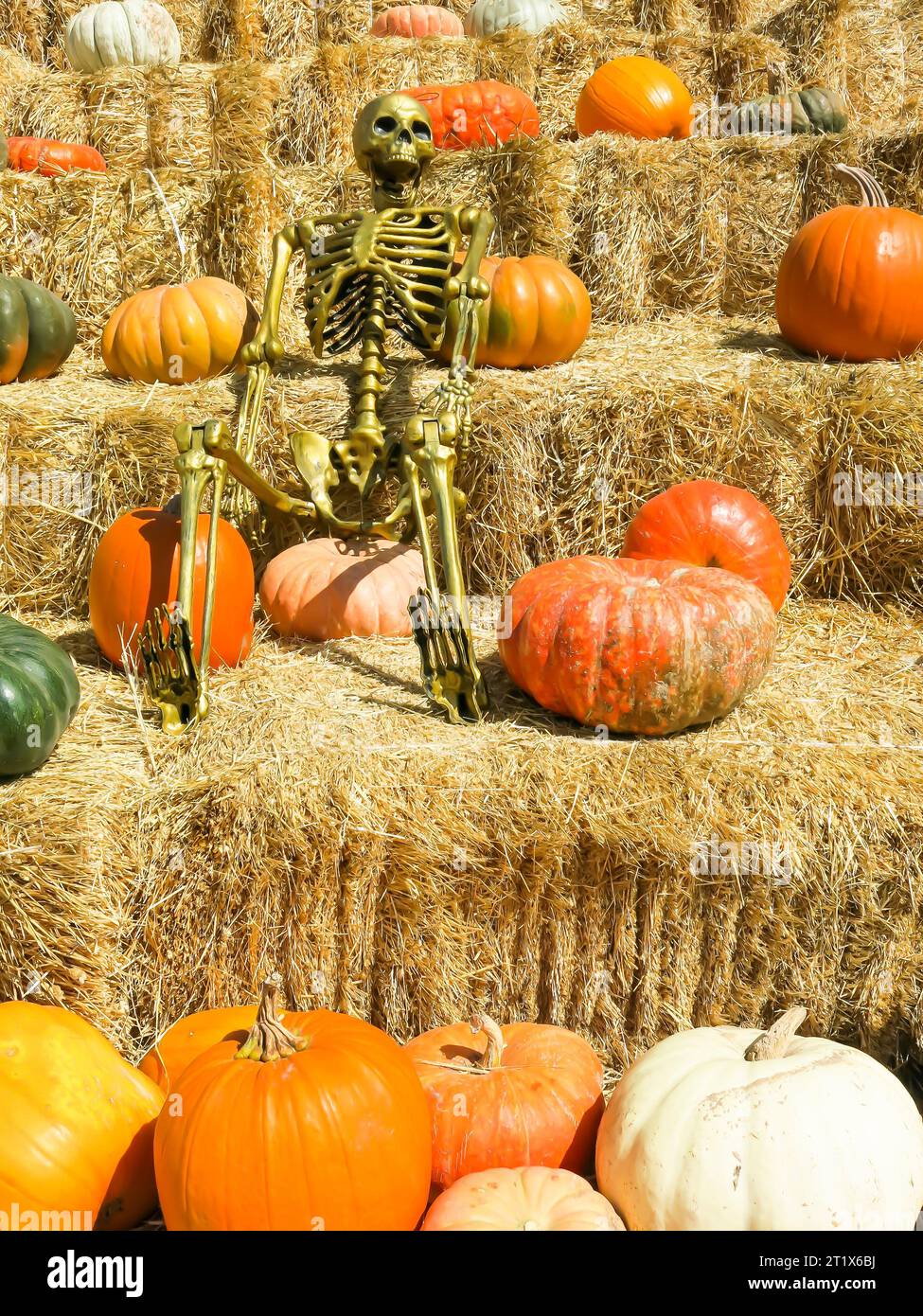 Pyramid of pumpkins hi-res stock photography and images - Alamy