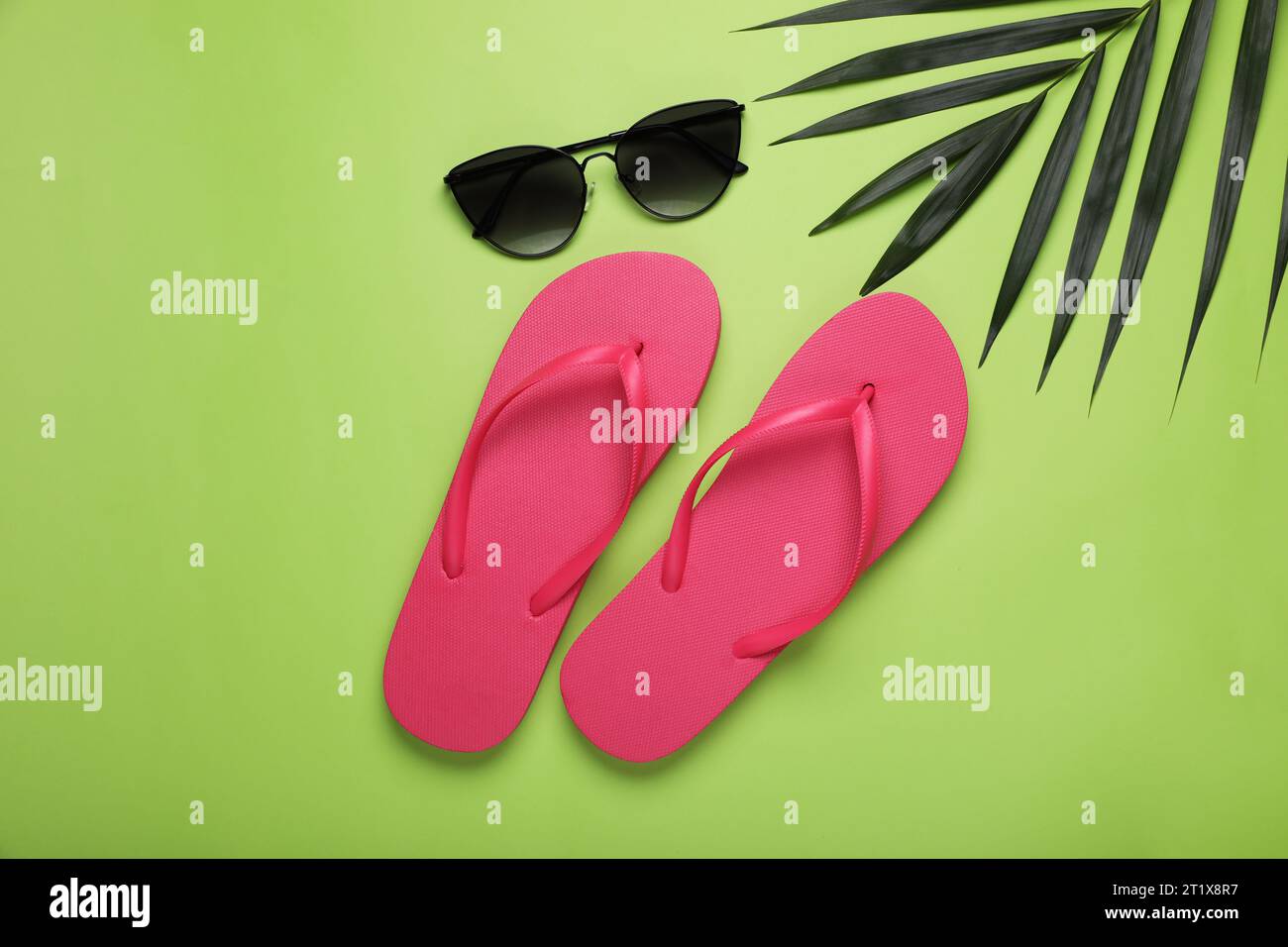 Stylish pink flip flops, sunglasses and palm leaf on light green background, flat lay Stock Photo