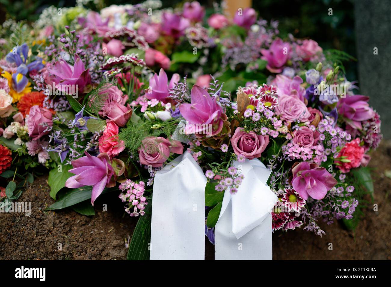 funeral wreath on a grave with white ribbons and flowers in pink tones with a wooden cross in a blurred background Stock Photo
