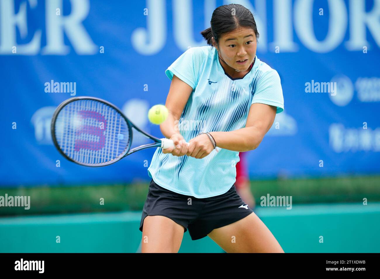 Wakana sonobe hi-res stock photography and images - Alamy