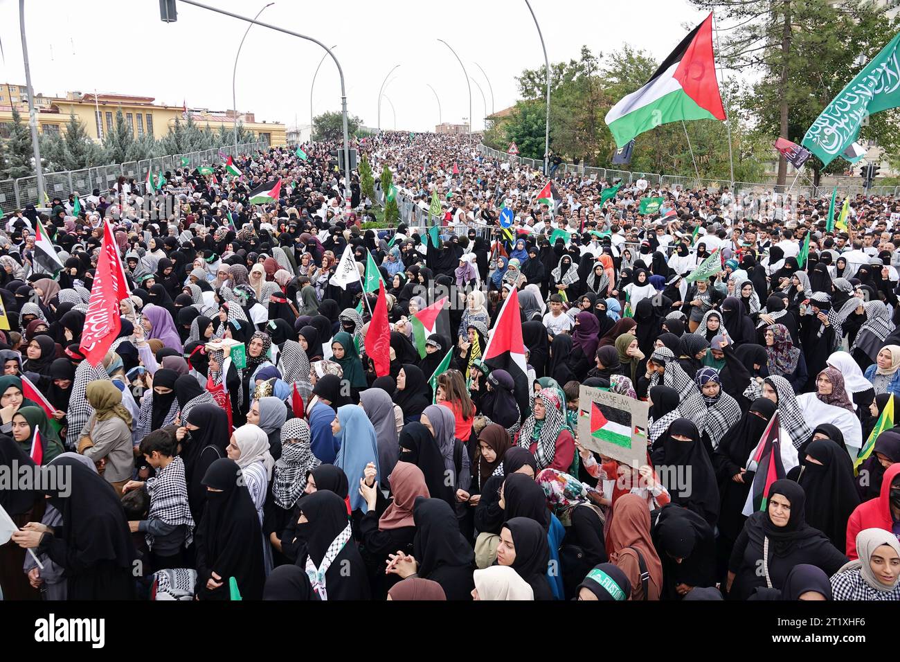 Diyarbakir, Turkey. 15th Oct, 2023. A crowd of protesters attends a ...