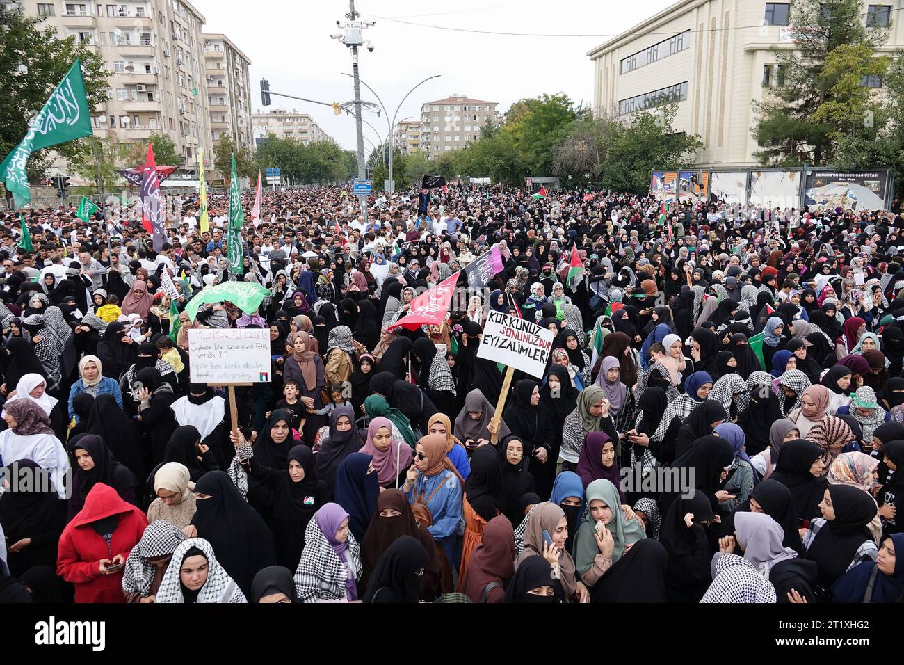 Diyarbakir, Turkey. 15th Oct, 2023. A crowd of protesters attends a ...