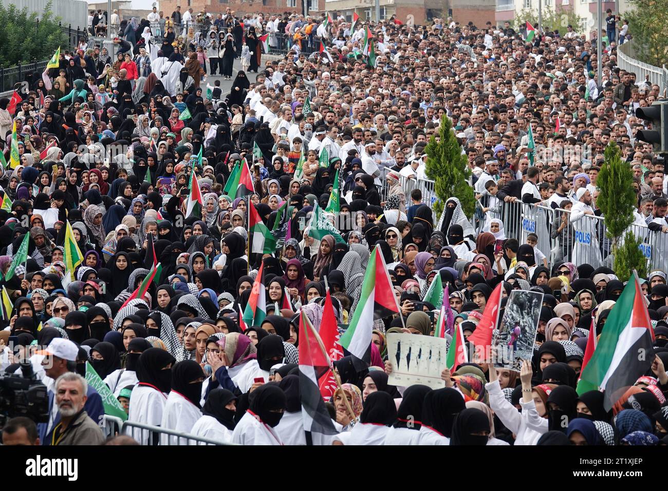 A crowd of protesters attends a rally in solidarity with Palestine at ...