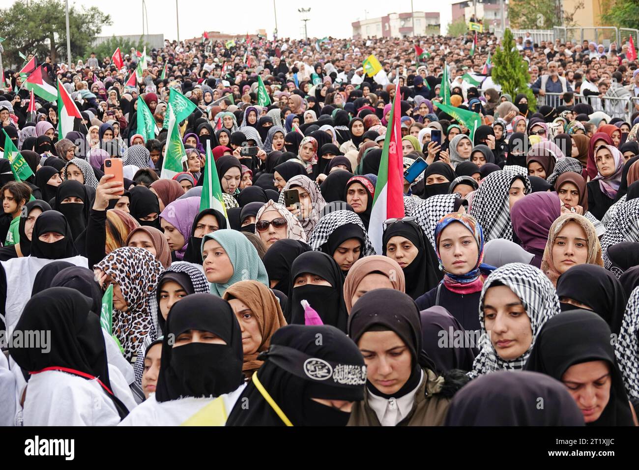 A crowd of protesters attends a rally in solidarity with Palestine at ...