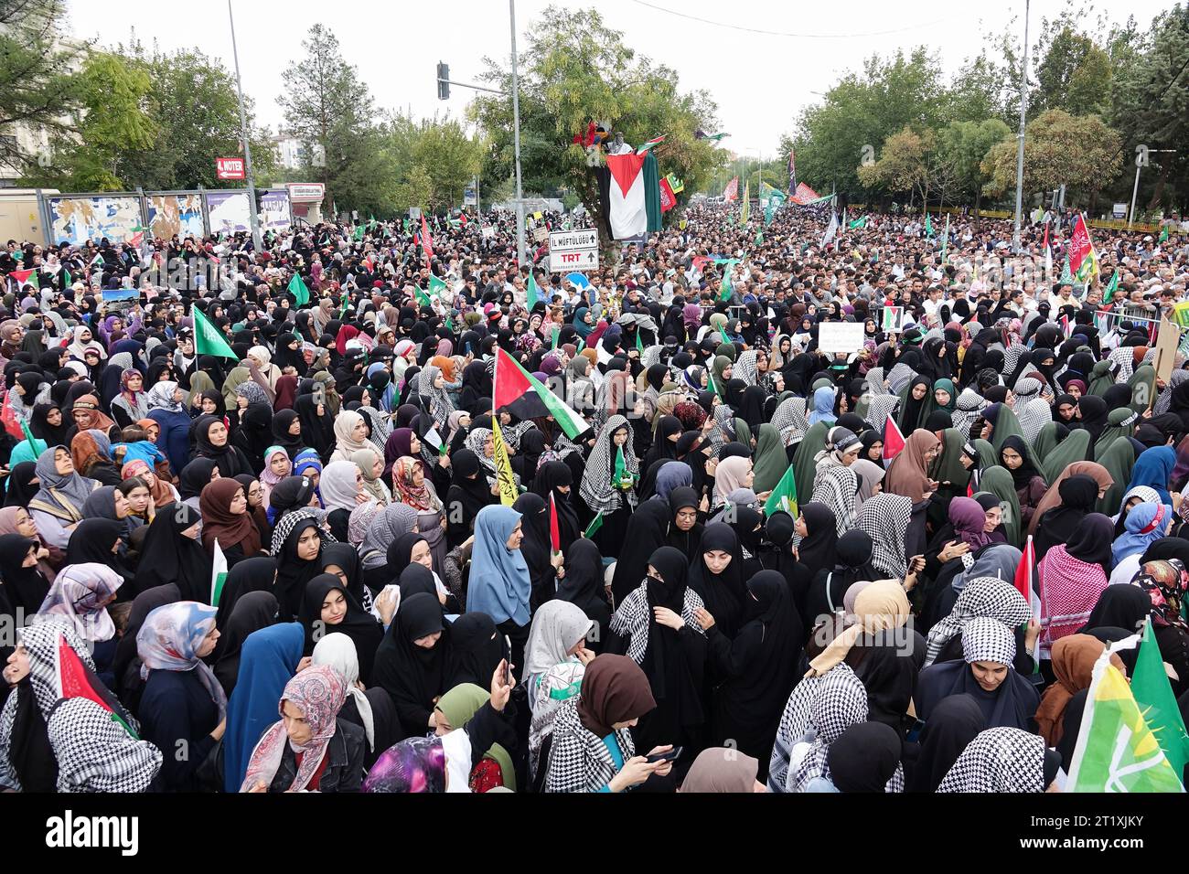 A crowd of protesters attends a rally in solidarity with Palestine at ...