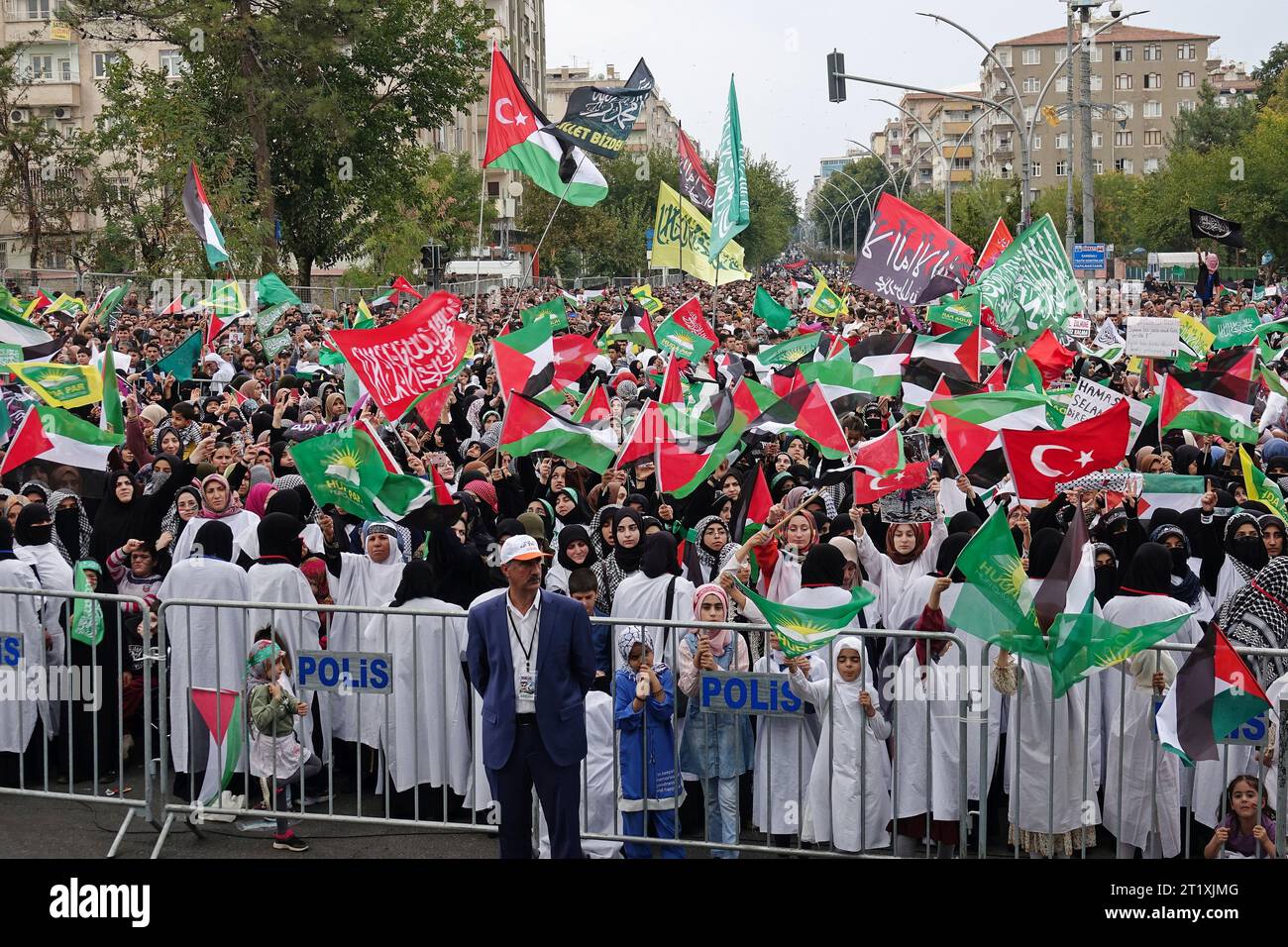 A crowd of protesters attends a rally in solidarity with Palestine at ...