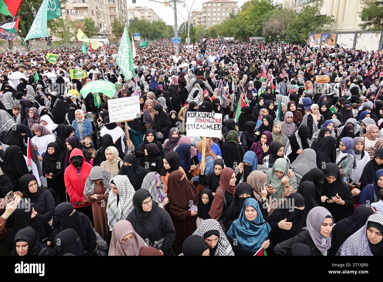 A crowd of protesters attends a rally in solidarity with Palestine at ...