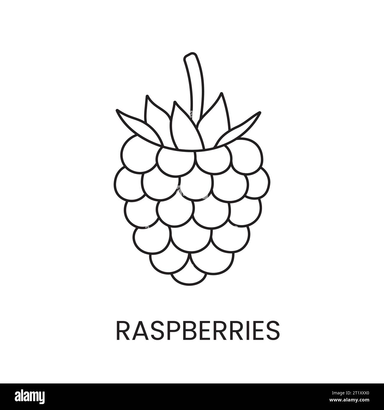 Raspberry line icon in vector, berry illustration Stock Vector Image ...