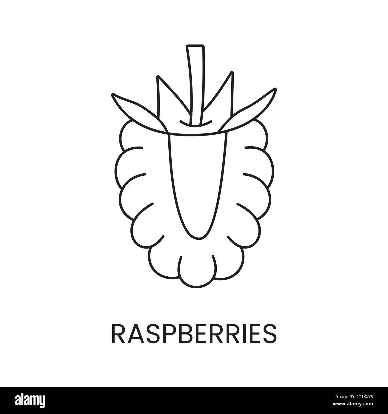 Raspberry line icon in vector, berry illustration Stock Vector Image ...