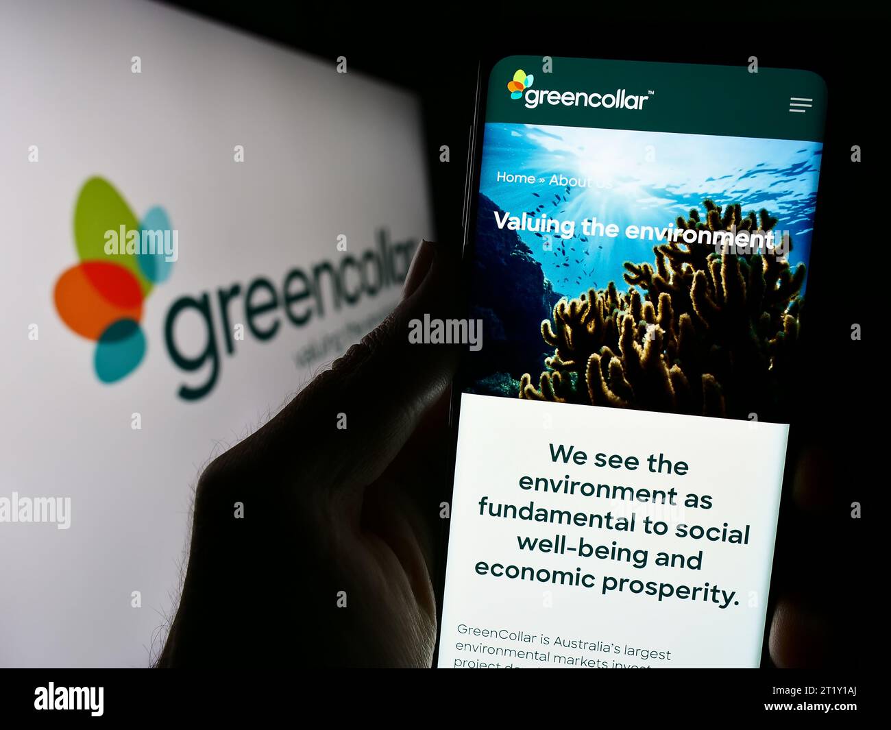 Person holding cellphone with website of Australian investment company GreenCollar Group in front of logo. Focus on center of phone display. Stock Photo