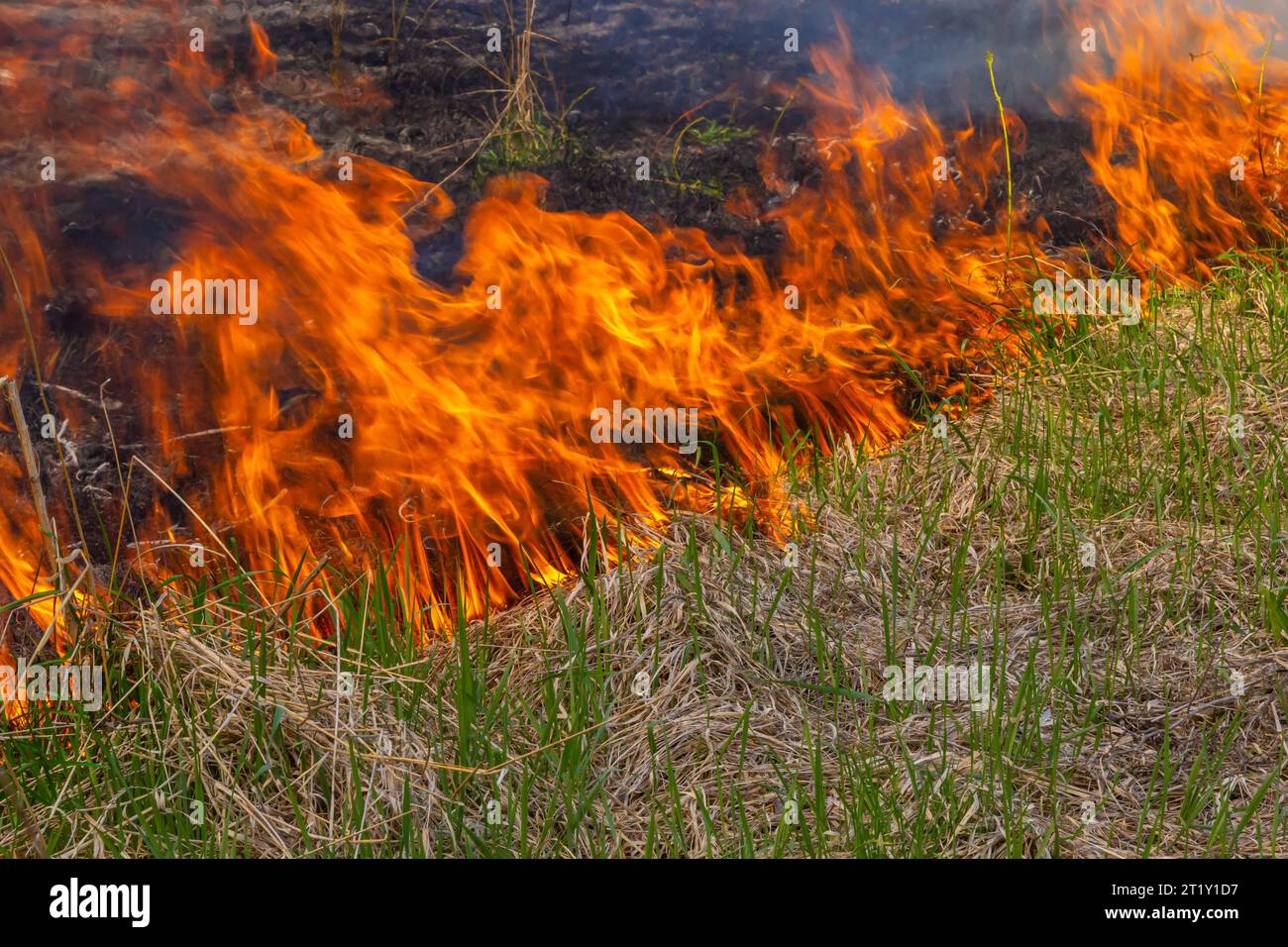 Field of destruction hi-res stock photography and images - Alamy