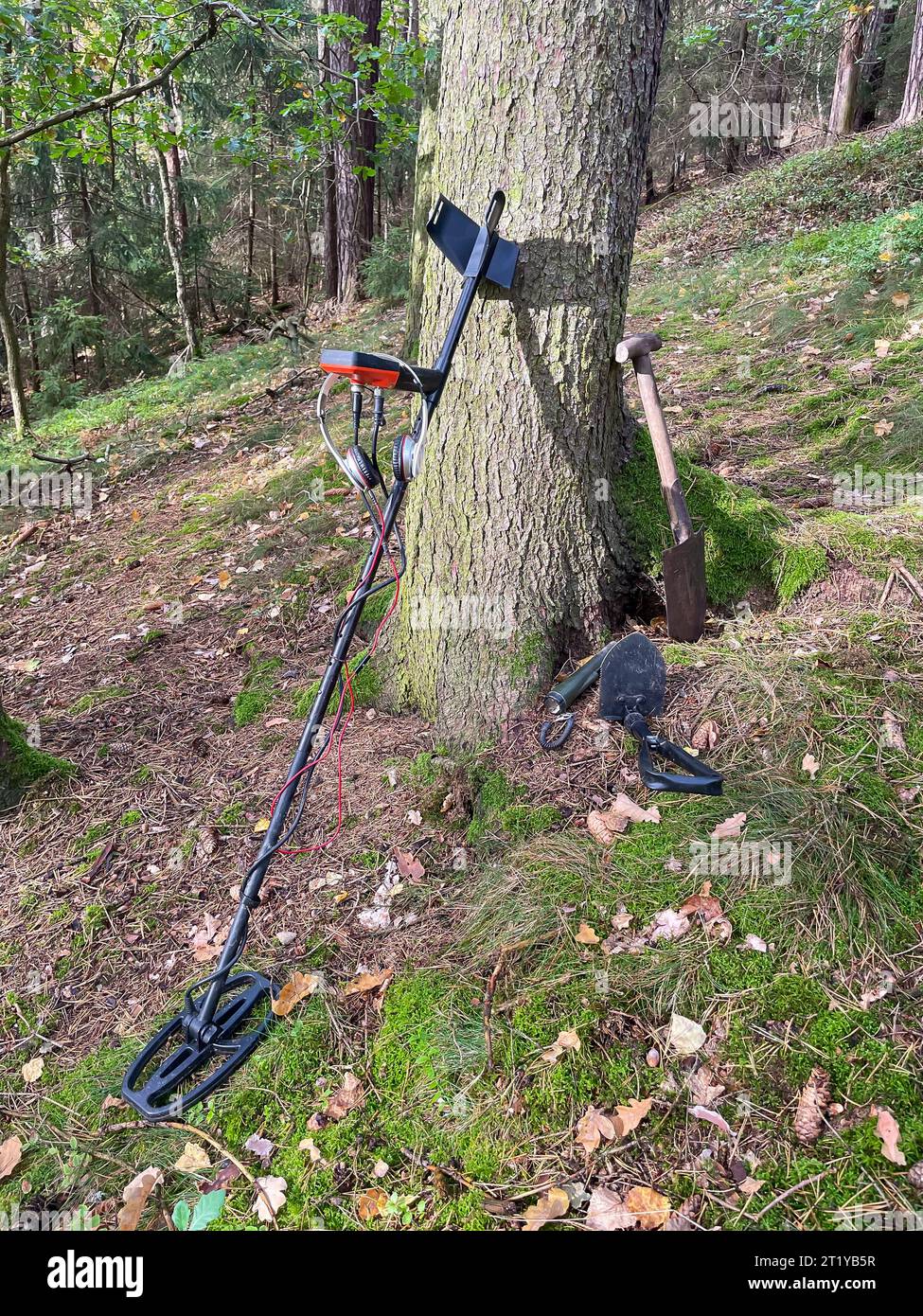 Searching in the forest with a metal detector Stock Photo - Alamy