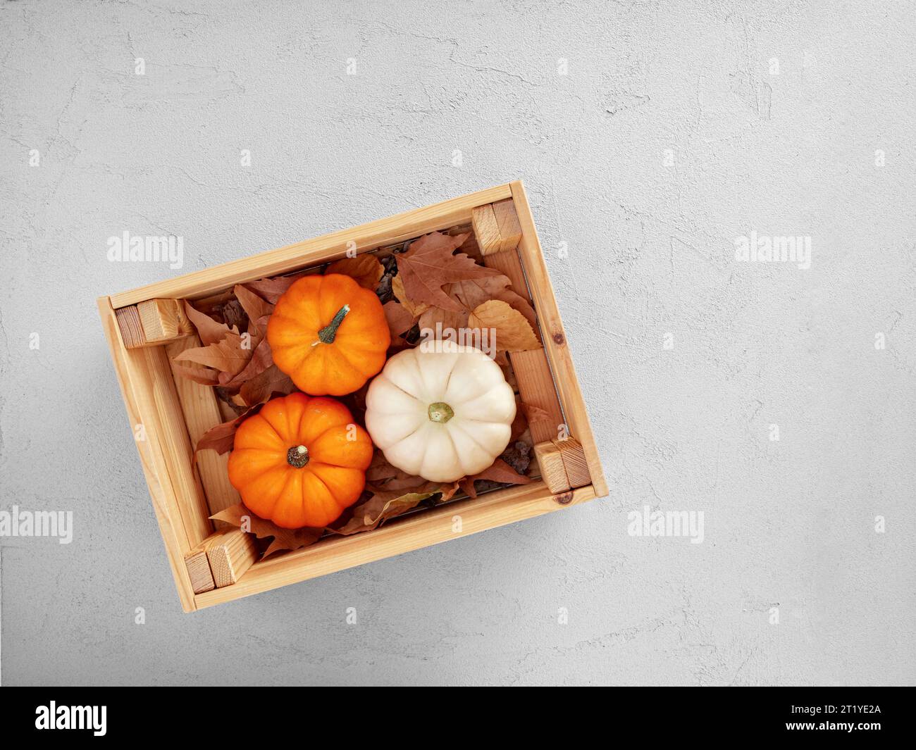 Autumn pumpkins in a wooden crate over autumn leaves on gray textured background with copy space. Top view. Stock Photo