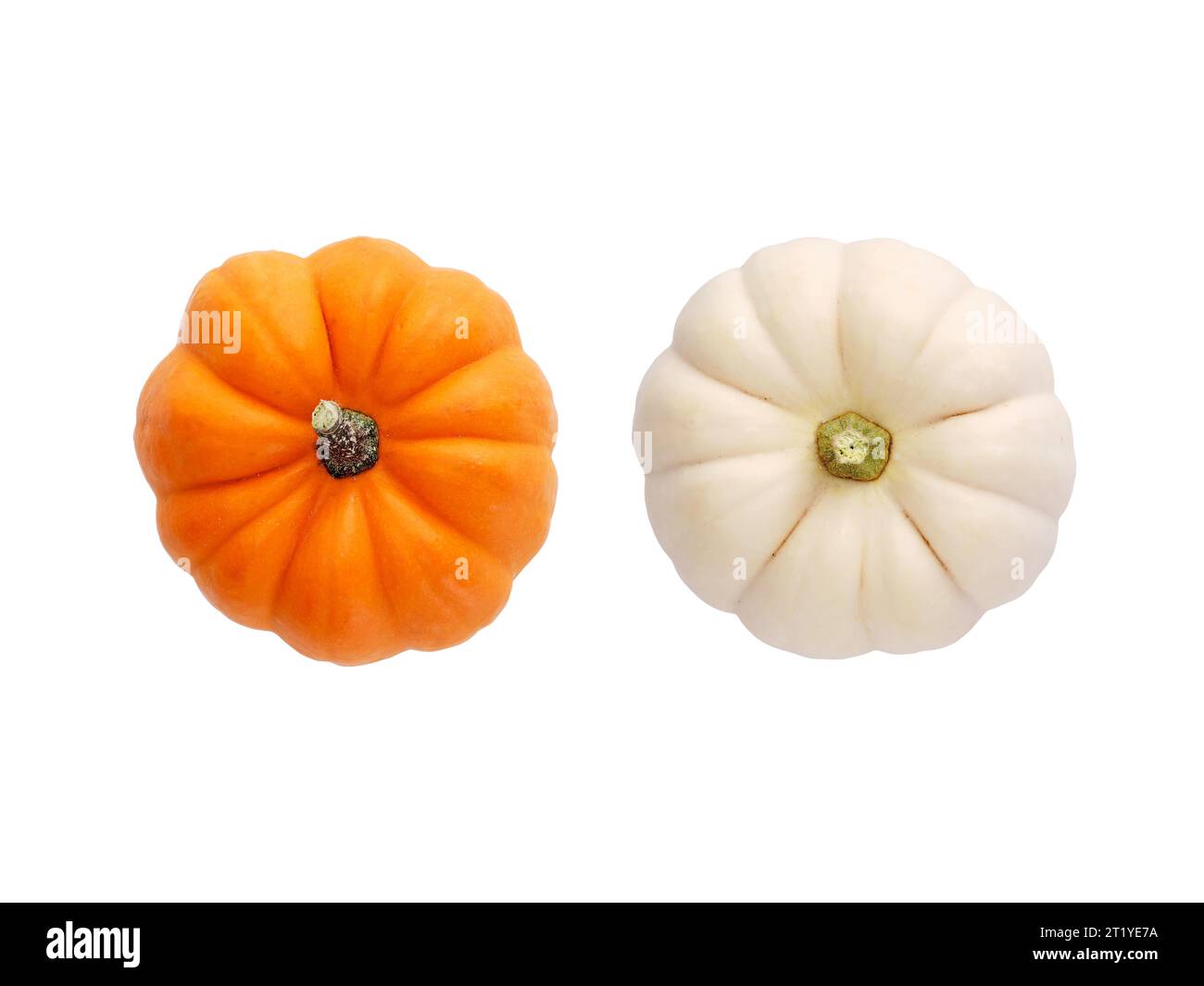 Two fresh orange and white colored Autumn pumpkins isolated on white background. Top view. Stock Photo
