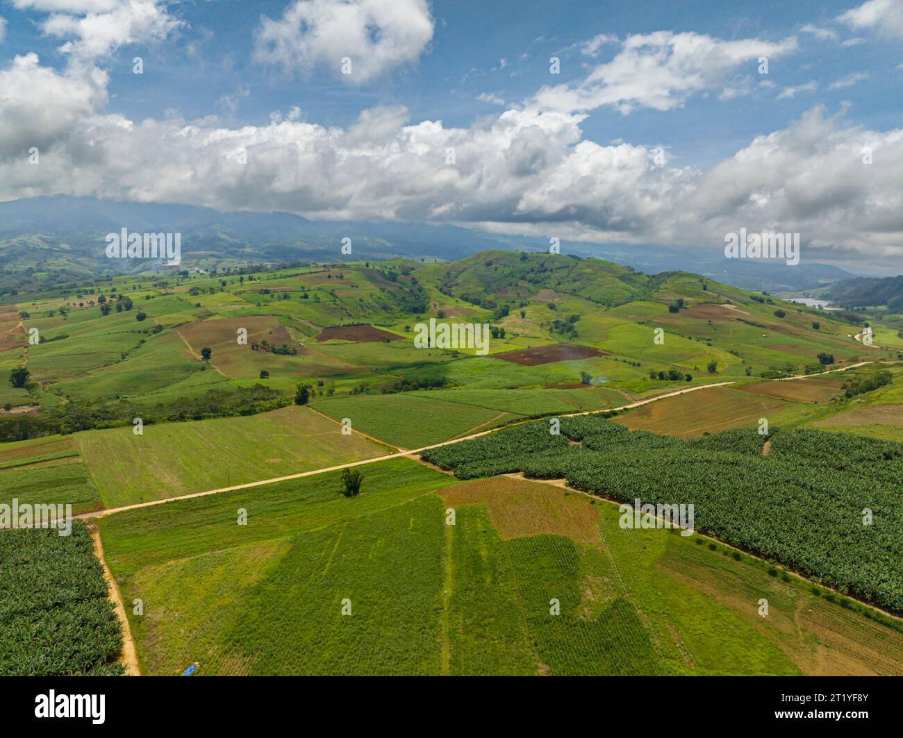 Plantation with banana farm and harvested fields in Bukidnon. Mindanao