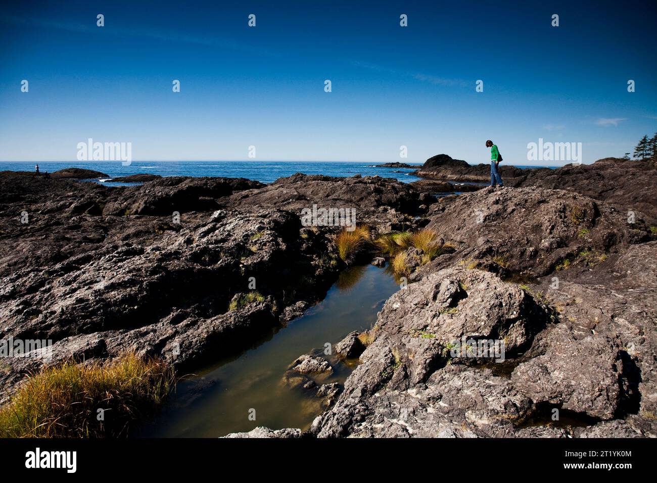 A woman explores the tidal areas of the western coast of Vancouver