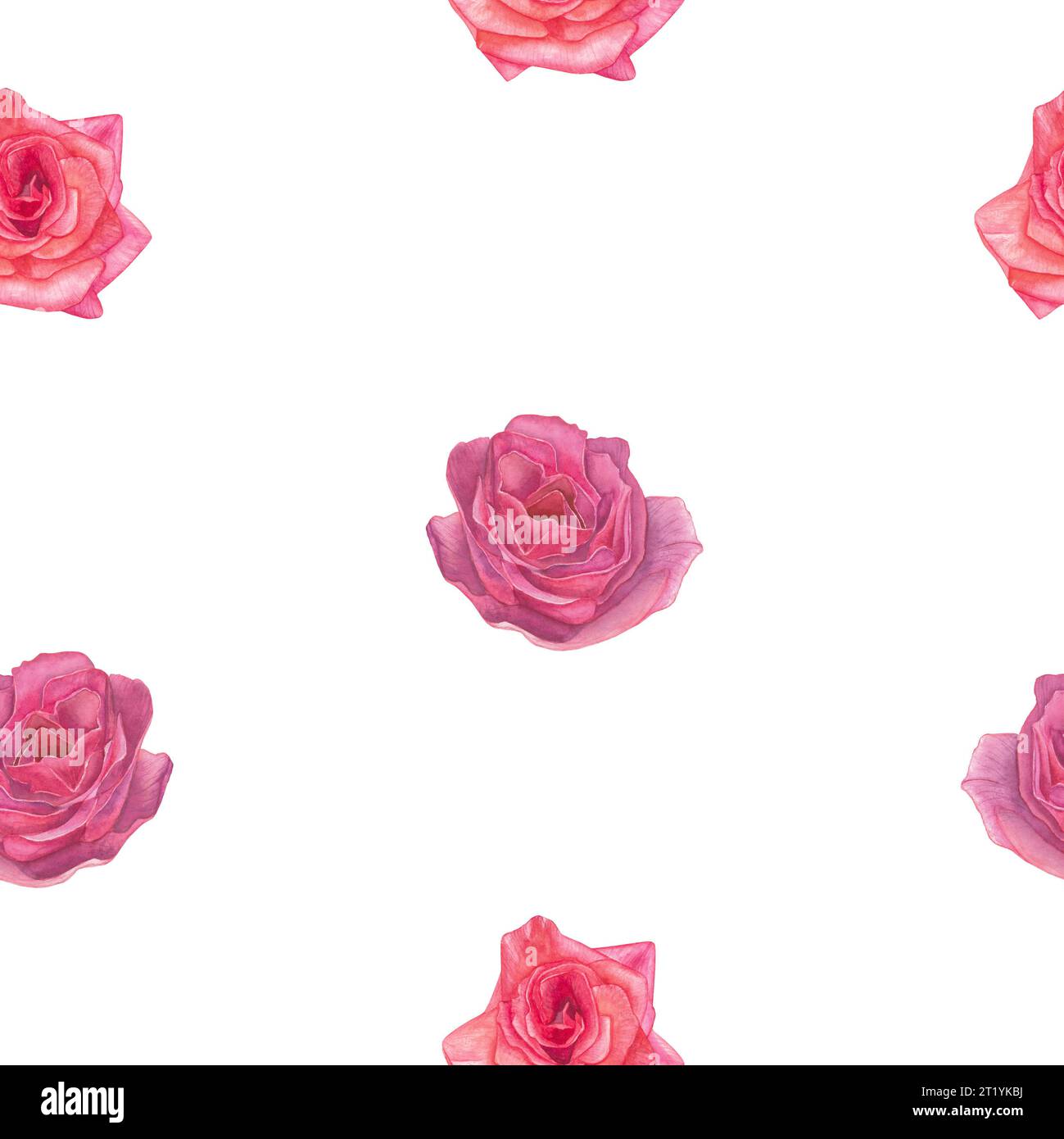 Watercolor illustration of pink roses - seamless pattern.Isolated on a ...
