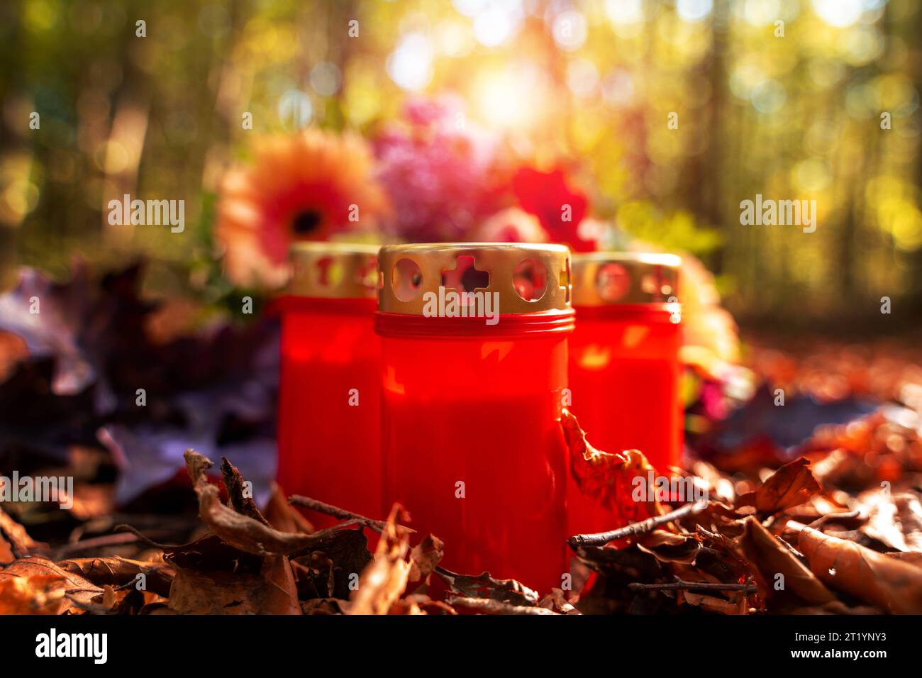 Augsburg, Bavaria, Germany. 13th Oct, 2023. Grave candles in a clearing in a forest. Symbol image All Saints *** Grabkerzen in einer Lichtung in einem Wald. Symbolbild Allerheiligen Credit: Imago/Alamy Live News Stock Photo