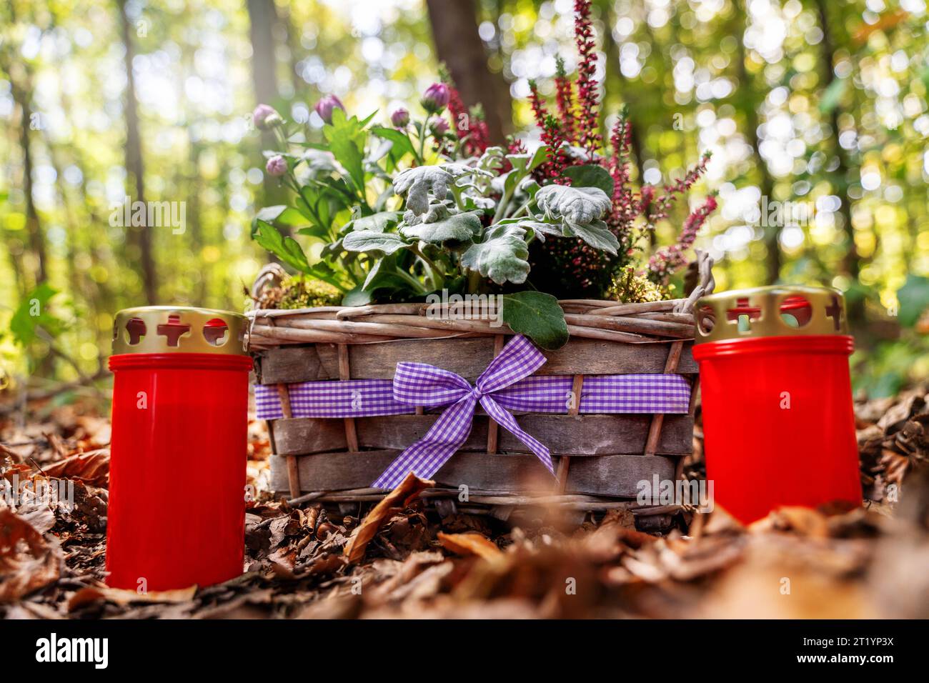 Augsburg, Bavaria, Germany. 13th Oct, 2023. Grave arrangement with grave candles in a clearing in a forest. Symbol image All Saints *** Grabgesteck mit Grabkerzen in einer Lichtung in einem Wald. Symbolbild Allerheiligen Credit: Imago/Alamy Live News Stock Photo