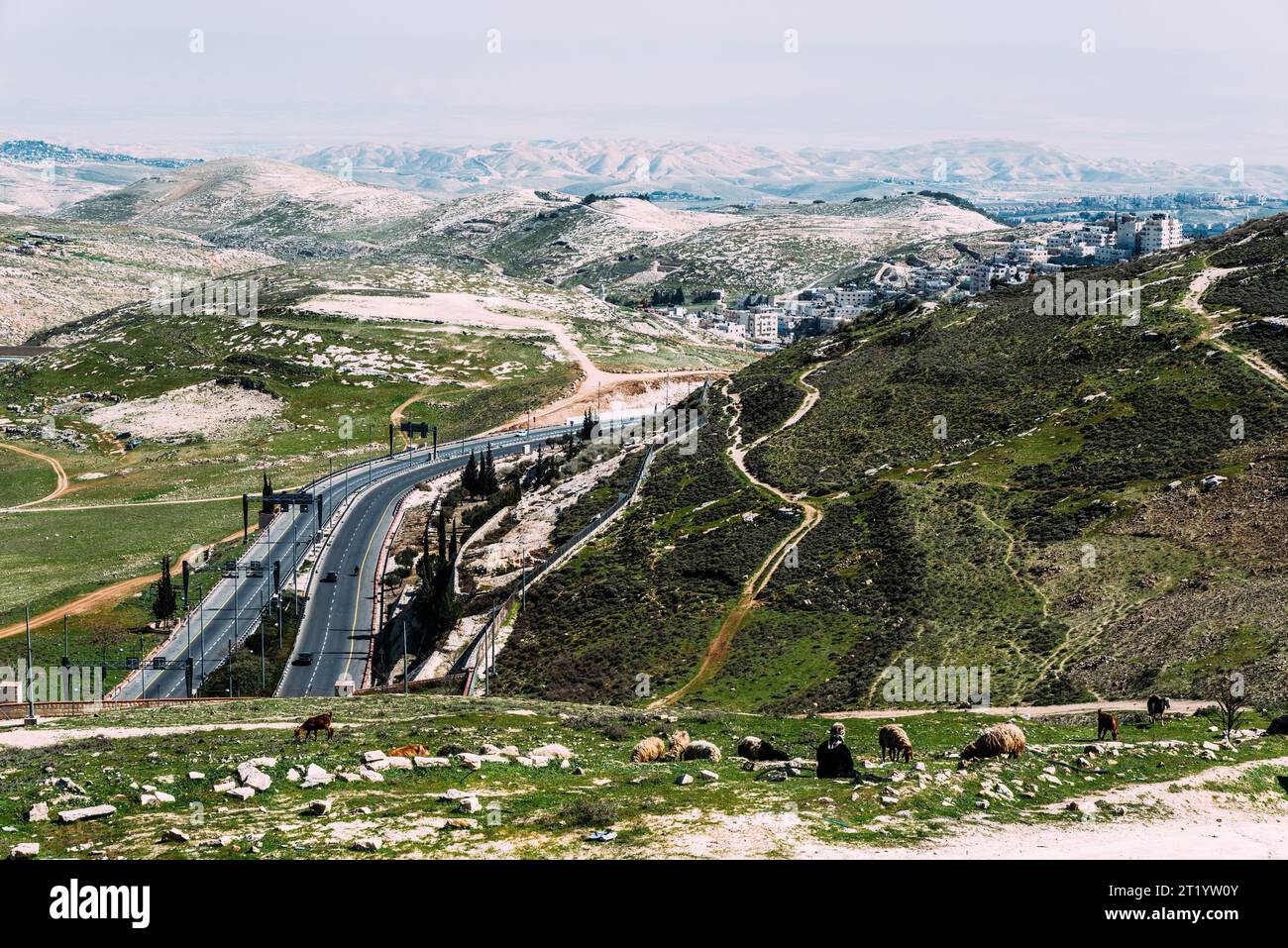 Hills with sheep surrounding Jerusalem looking towards the Palestinian Territories, Middle East Stock Photo