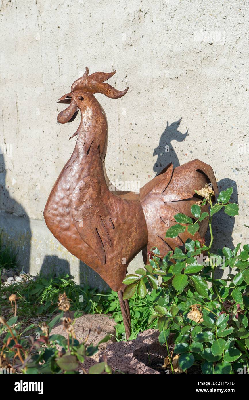 Metal rooster in the garden on the background of a concrete wall Stock Photo