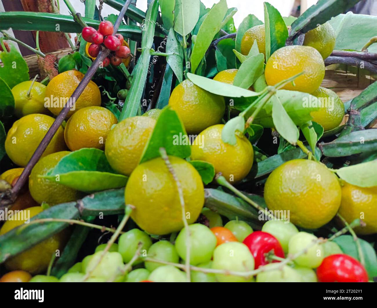 srilanka food festival Stock Photo - Alamy