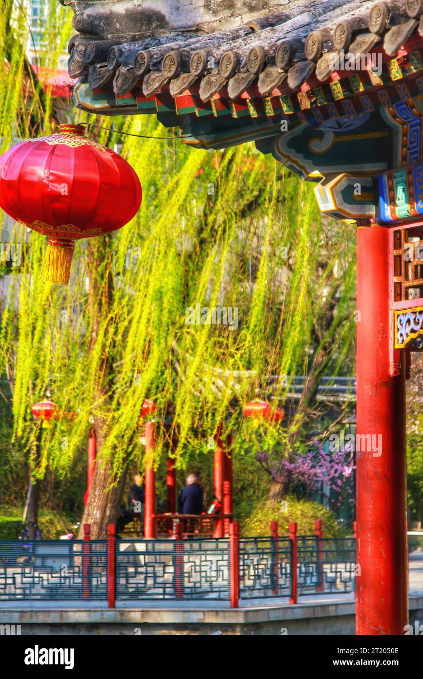 Capture the intricate beauty of traditional Chinese wall decor, a