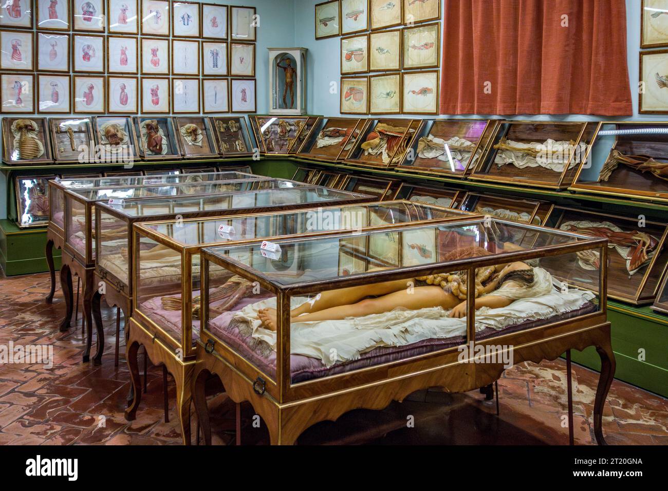 The museum known as La Specola, in Florence, founded in 1775, contains