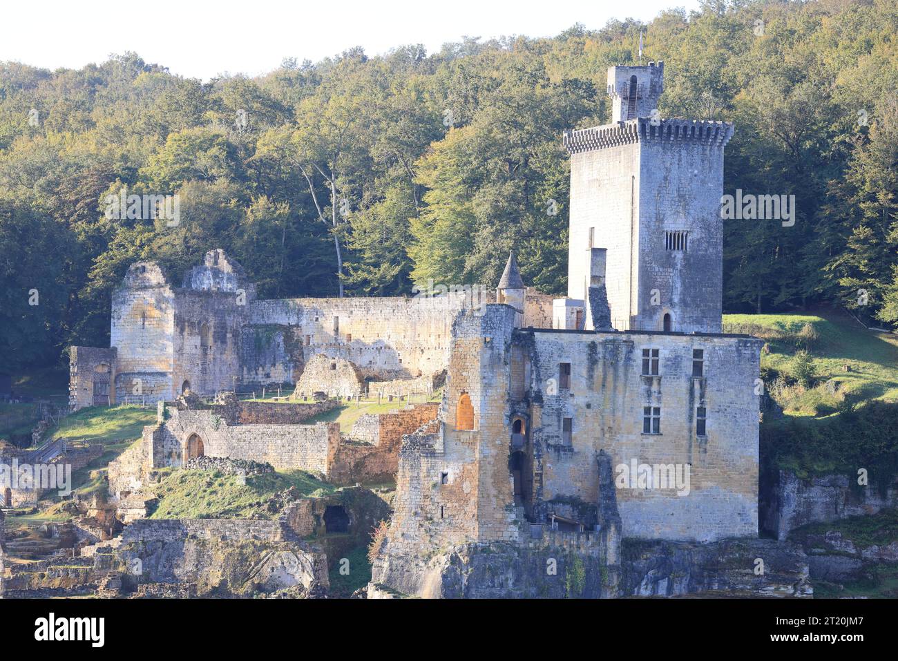 Ruins of the Château de Commarque, an ancient fortified castle, whose origin dates back to the 12th century, which stands in the French commune of Les Stock Photo