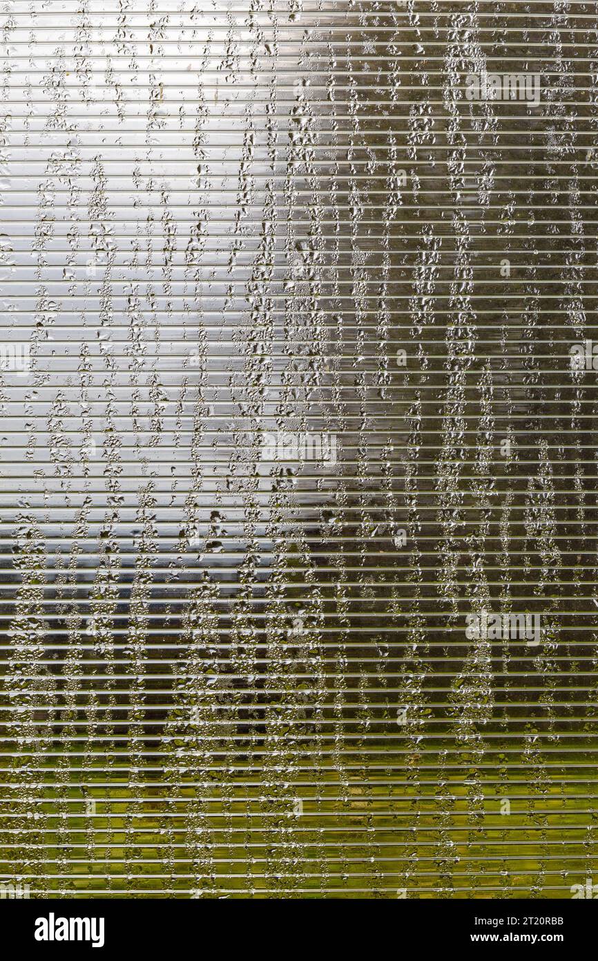 condensation on the plastic wall of the greenhouse. drop of